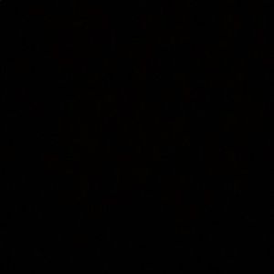 Meet your Posher, Aaliyah